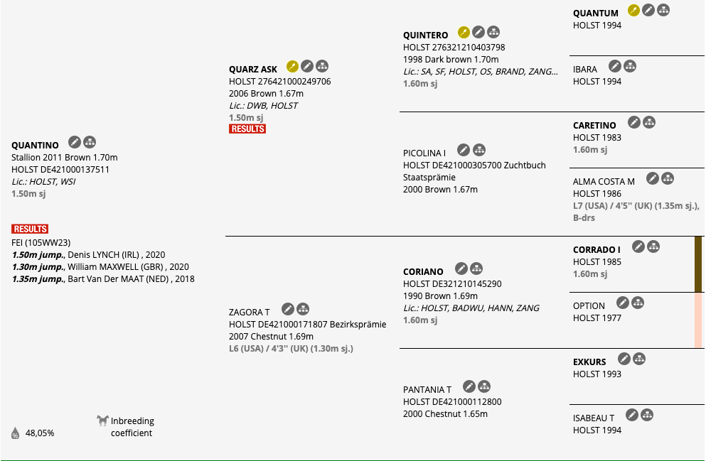 The pedigree of Quantino