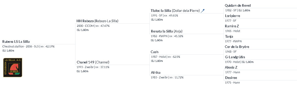 The pedigree of Rubens LS La Silla