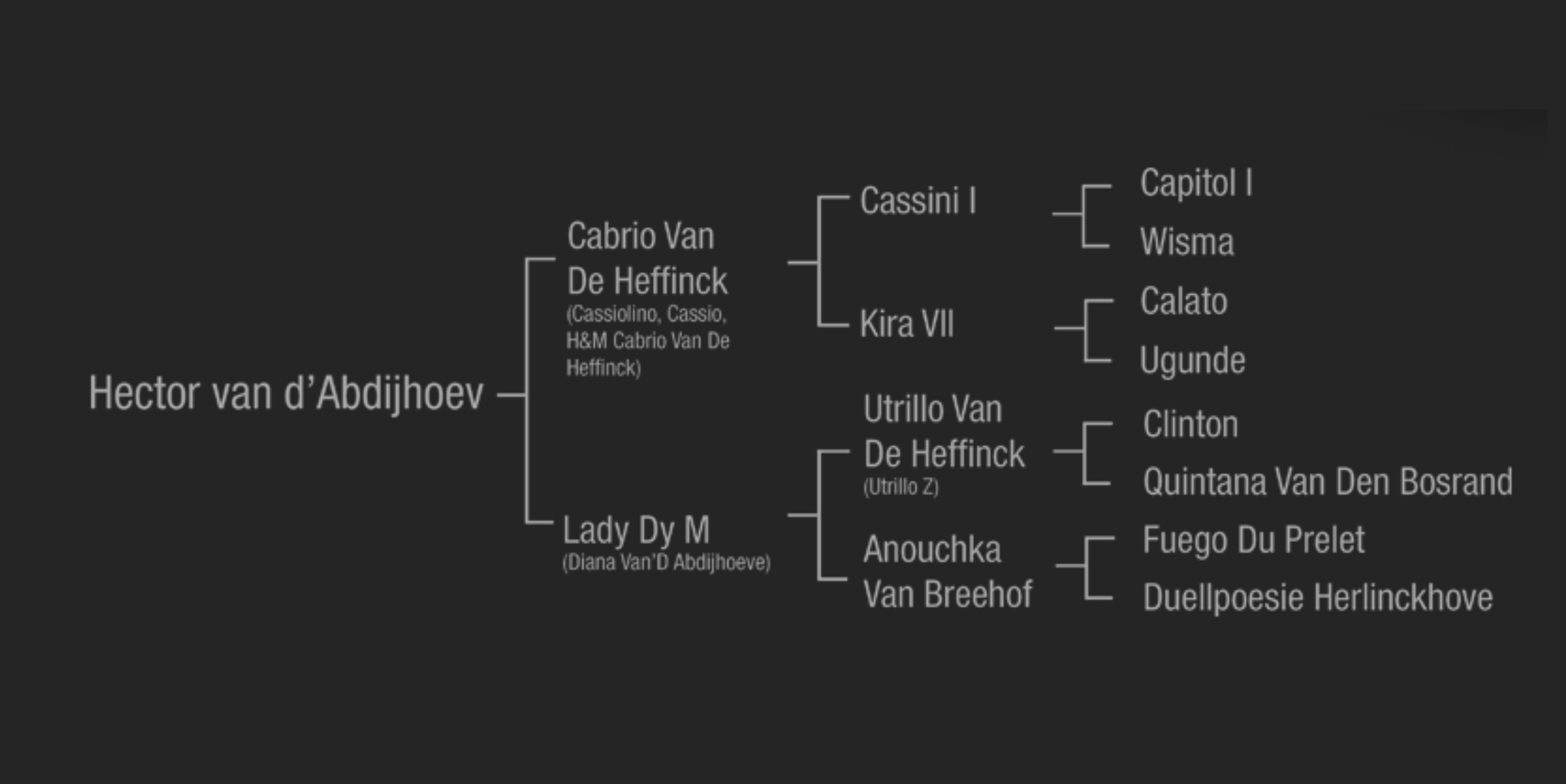 The pedigree of Hector van d'Abdijhoeve